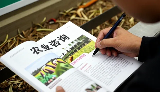 泰安高新区龙泽苗木有限公司助力农业咨询等实现农业咨询等升级